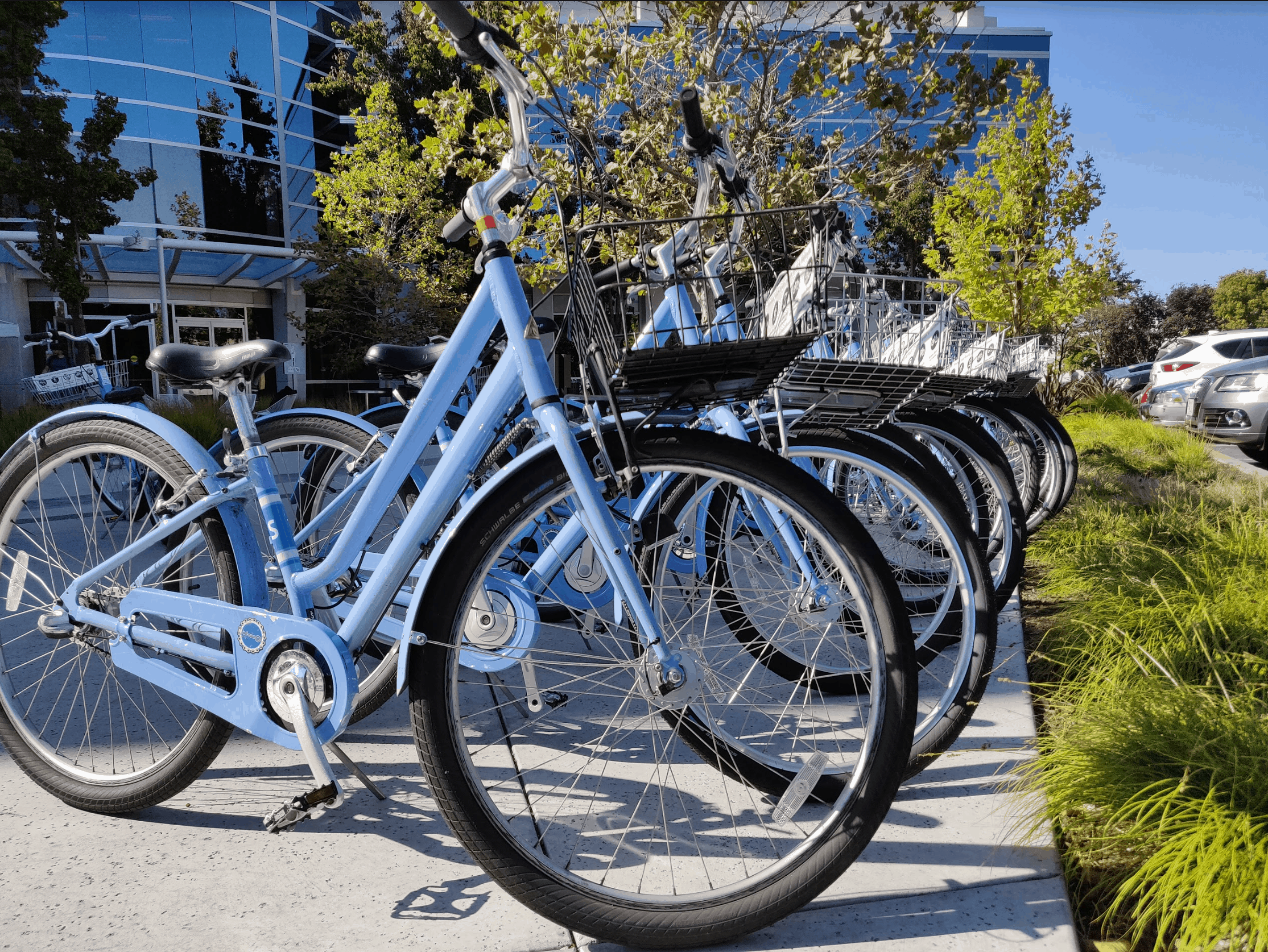 Campus Bikes - Transportation Benefit or Burden?